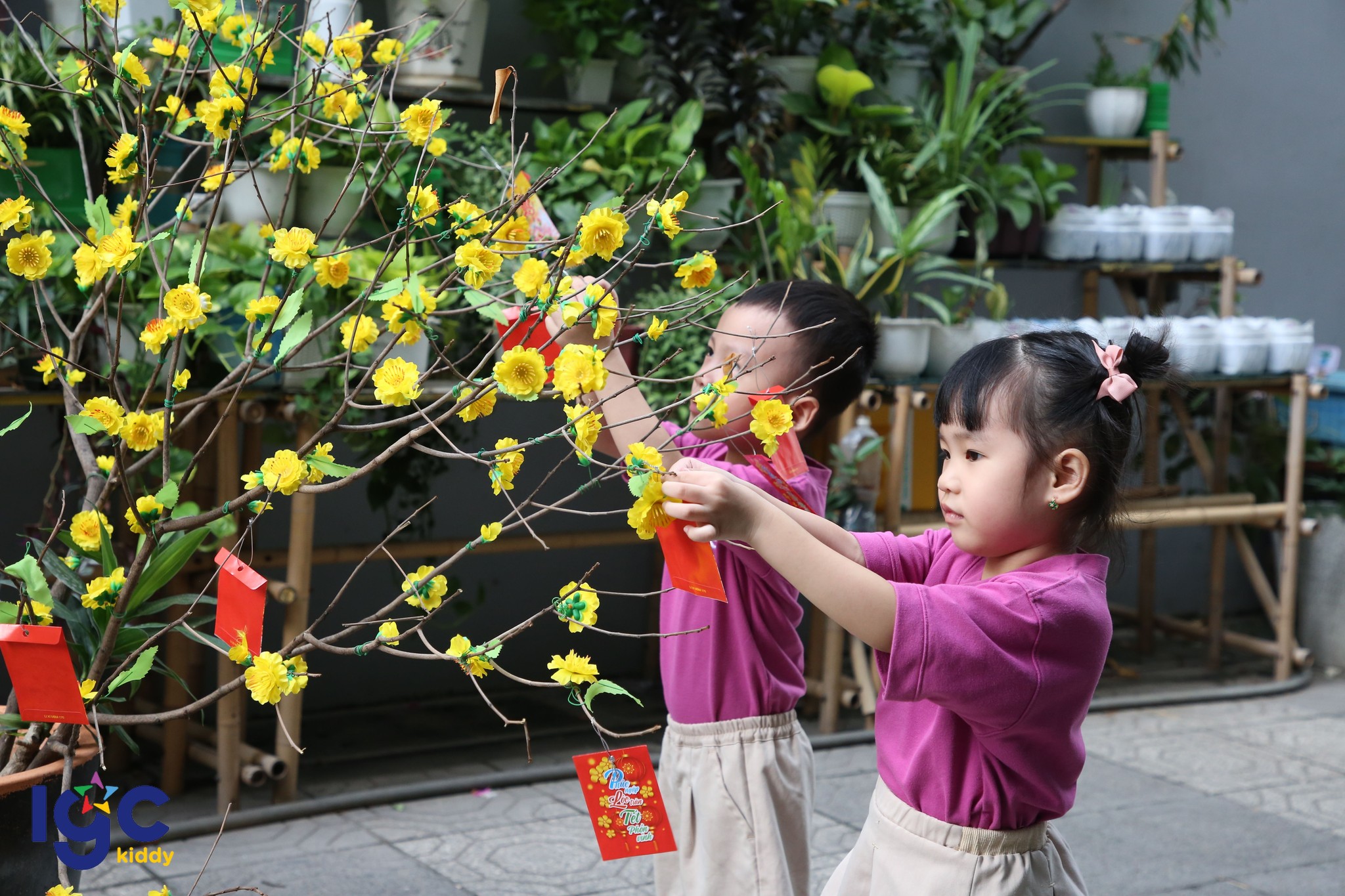 TẾT RỘN RÀNG – NGẬP TRÀN SẮC XUÂN TẠI IGC KIDDY!