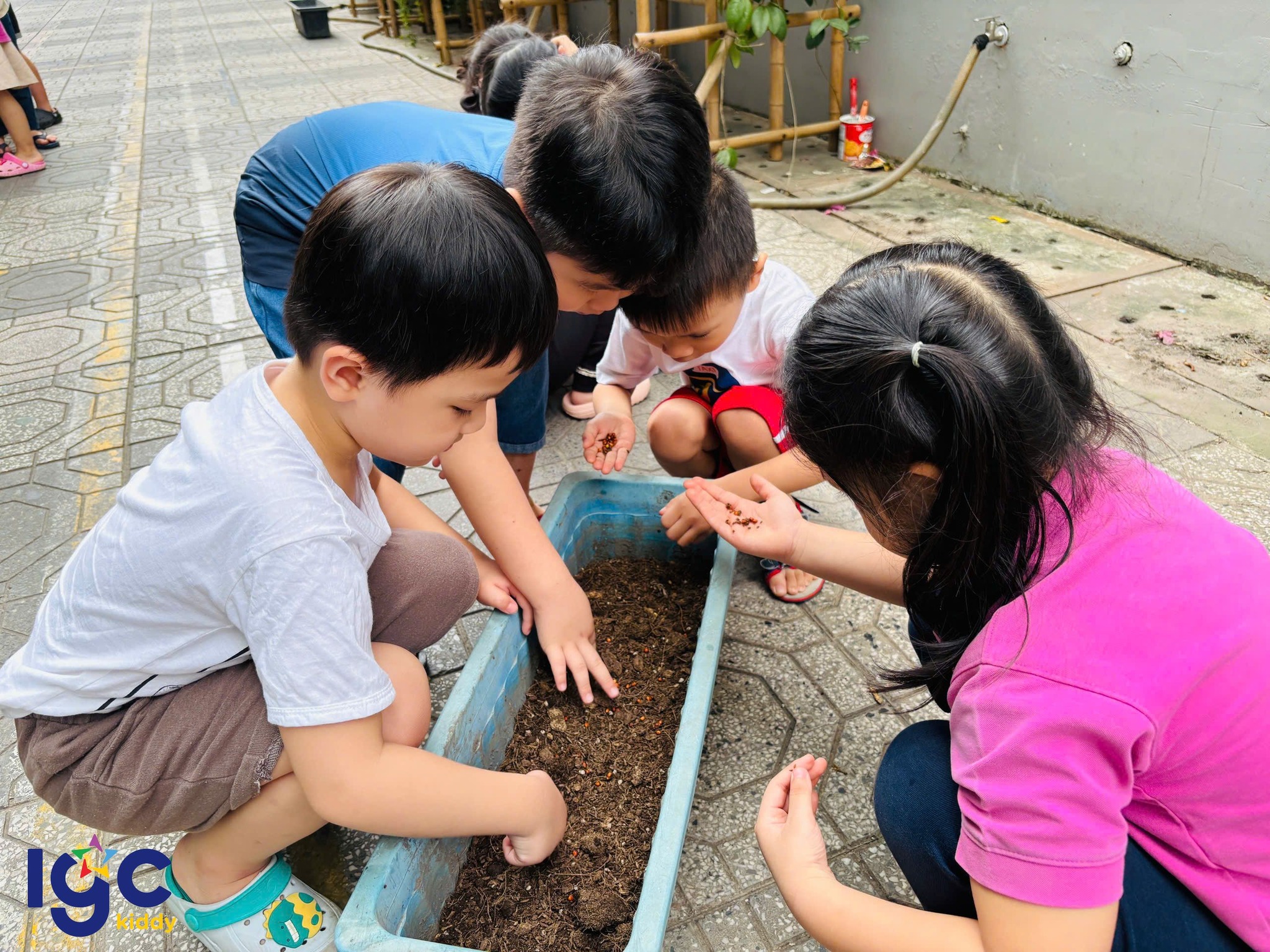 CÁC HOẠT ĐỘNG TRONG DỰ ÁN HỌC TẬP MẦM XANH